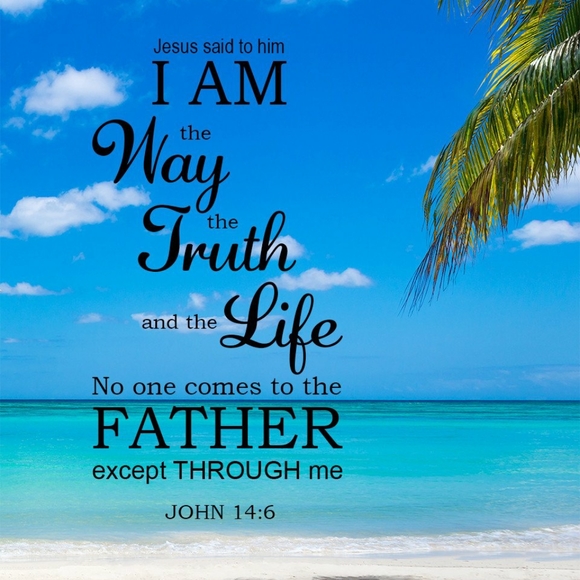 Meet your Posher, Alyse - Picture 6 of 16